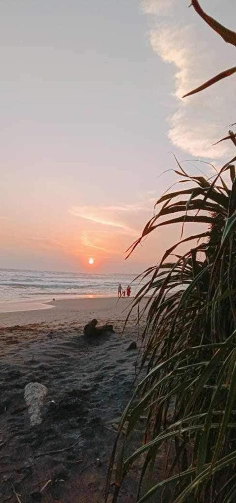Lion Paradise Surf Beach 마타라 외부 사진